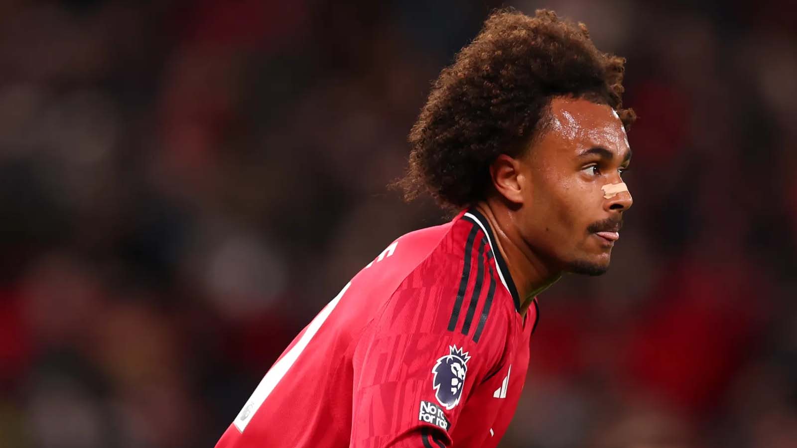 ปีศาจแดง กำลังพิจารณาคว้าตัว มิดฟิลด์ของวูล์ฟแฮมป์ตันก่อนถึงเส้นตายตลาดซื้อขายนักเตะช่วงฤดูหนาว